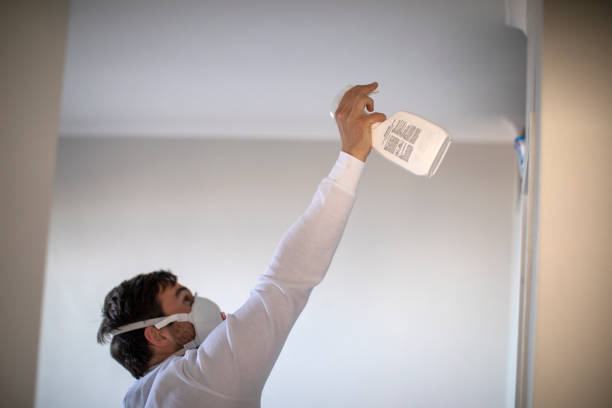 Best Basement Mold Remediation in Cusseta, GA